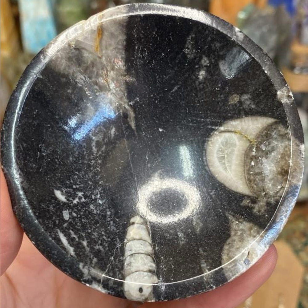 Orthoceras Stone Bowl